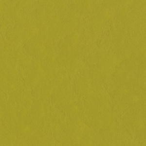 3362 Yellow Moss